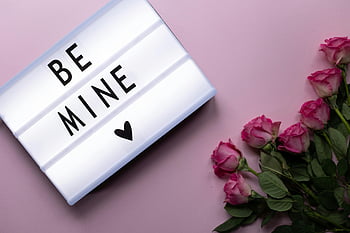 Sii mio, rose rosa, San Valentino, disposizione romantica, lightbox, Regalo romantico, Decorazione di San Valentino, fiori romantici, sfondo rosa, messaggio d'amore, simbolo del cuore