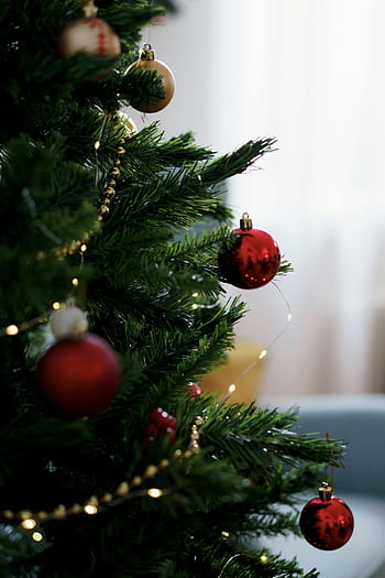 Noel ağacı, kırmızı baubles, altın çelenk, şenlikli atmosfer, Zarif Noel Ağacı, tatil dekoru, Noel süsleri, kırmızı süs, yeşil ağaç, Noel ışıkları, bayram süslemeleri