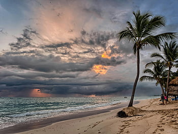 sea side, sunset, dramatic storm clouds, beach, Punta Cana, palm trees, swaying in the wind, ocean, sand, evening sky, tropical landscape