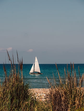 loď, plachtění, pláž, trávy, pobřeží, moře, oceán, plachetnice, scenérie, Příroda