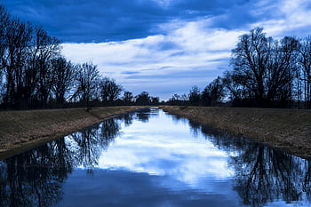 fiume tra gli alberi, paesaggio tranquillo, fiume calmo, riflessione dell'albero, cielo blu, scena pacifica, scenario naturale, ambiente sereno, bellezza all'aperto, riflesso d'acqua, fotografia naturalistica