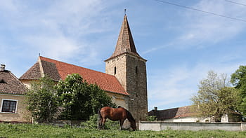 opevněný kostel, Noiștat, luteránské církve, kamenná věž, machicolations, zbraně, okolní zdi, SIBIU COUNTY, 14. století, 15. století, pastvy koní