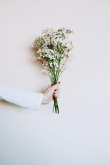 kadın eli, Beyaz çiçekler, narin buket, yumuşak arka plan, Beyaz arkaplan, Çiçek düzenlemesi, minimalist fotoğrafçılık, zarif dokunuş, doğal güzellik, yumuşak aydınlatma, basitlik