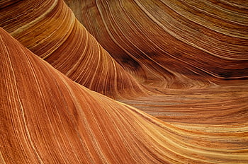 roter Sand, lebendiger Sandstein, wellige Formationen, die Welle, Arizona, atemberaubender Ausblick, natürliche Landschaft, Wüstenlandschaft, Geologisches Wunder, einzigartiges Gelände, Erdfarben