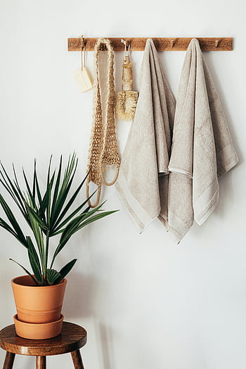 Minimalistisk bad, grønn potteplante, Kroppsomsorgsverktøy, miljøvennlig design, minimalistisk innredning, håndklær, tre rack, terrakottapotte, naturlige elementer, bærekraftig livsstil, hvit vegg