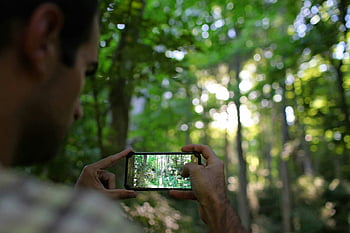 fotografering af skov, smartphone fotografering, udendørs fotografering, skov scene, mand tager foto, smartphone kamera, naturfotografering, skovfotografering, udendørs aktivitet, mand i skov, smartphone foto