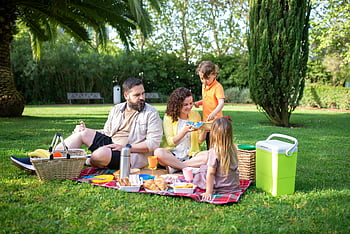 family picnic, sunny park, fresh food, drinks, joyful family, outdoor activity, picnic blanket, picnic basket, green grass, summer day, family time