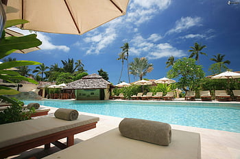 station touristique, Tropical au bord de la piscine, palmiers, ciels bleus, relaxation ultime, Resort ensoleillé, salon au bord de la piscine, parasols de plage, détente extérieure, équipements de la station, vacances tropicales