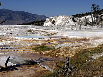 yellowstone, national Park, wyoming, usa, nature, landscape, wilderness, outdoors, scenery, geyser, hot