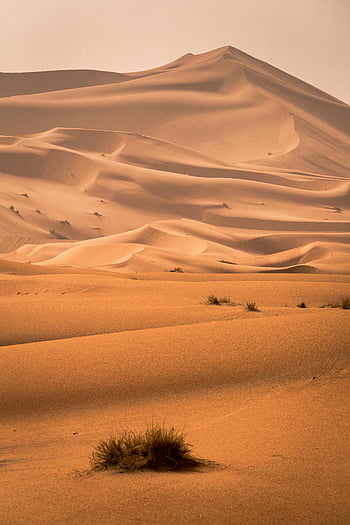 ørken, klitter, Sahara ørkenen, tørt landskab, stor ørken, ørkenlandskab, ørkenfotografering, Ørkenmiljø, ørken skønhed, ørken landskab, ørken sand