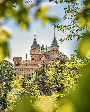 castle, architecture, trees, leaves, foliage, fort, fortress, fortification, citadel, slovakia, historical