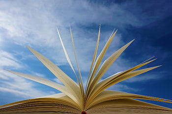 Kniha, stránek, číst, výcvik, román, literatura, nebe, mraky, učit se, milovat, knihovna