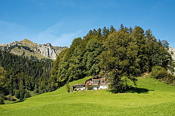 switzerland, canton Of St Gallen, nature, alps, landscape, thurtal, house, building, hill, mountains, forest