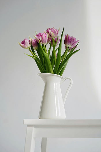 pink tulips, white pitcher vase, fresh flowers, elegant still life, home decor, floral arrangement, pink flowers, white vase, tulip bouquet, indoor flowers, minimalist decor