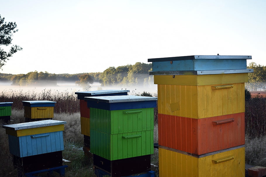 ule, apiary, the Fog, landscape, village, rural, sky, colorful, wood, cottages, morning