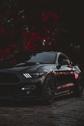 Mustang nero, macchina di lusso, sfondo drammatico, design elegante, impostazione scura, auto parcheggiata, veicolo di fascia alta, fotografia automobilistica, macchina nera, illuminazione drammatica, Appassionati di auto