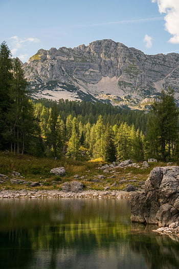 montagna rocciosa, lago, alberi lussureggianti, scena pacifica, cime rocciose, temi tranquilli, riflessione di montagna, paesaggio sereno, bellezza naturale, area boscosa, acque calme