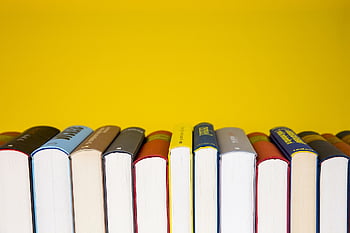books, literature, knowledge, education, school, reading, library, bookworm, study, read, text Books