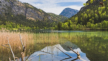 jezero, hory, rákos, tráva, odraz, voda, stromy, les, banka, horské jezero, pohoří