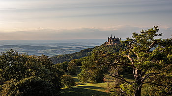 hrad, kopec, stromy, les, lesy, hory, věže, budova, architektura, opevnění, citadela