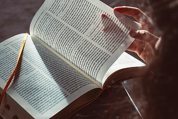 本、 聖書、 読む、 教育、 本のページ、 宗教、 調査、 学ぶ