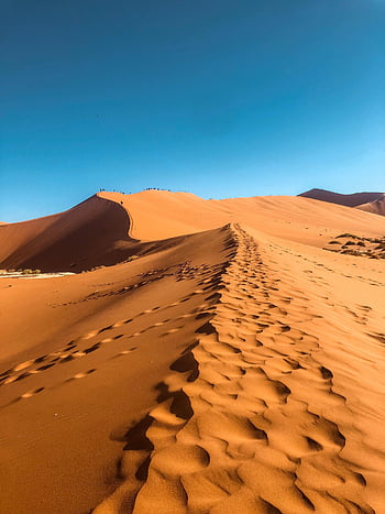 pouště namib, písečné duny, modrá obloha, namibie, pouštní krajina, čisté nebe, hnědý písek, Přírodní krásy, venkovní průzkum, podmanivá scenérie, cestovní fotografie