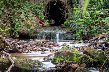 bach, stones, forest, landscape, waterfall, nature, water, stream, flow, rock, moss