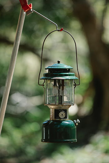 Lampu parafin retro, Lentera Hijau Vintage, pengaturan hutan, sinar matahari, nostalgia, ketenangan, menggantung lentera, pencahayaan luar ruang, pemandangan alam, perlengkapan berkemah, lingkungan yang damai