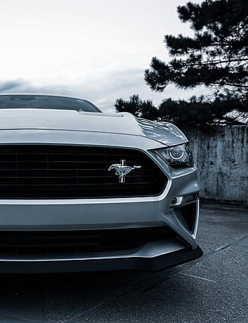 silver Ford Mustang, close-up photo, front grille, Mustang logo, detailed view, daytime shot, car photography, automotive design, Ford emblem, vehicle front, sports car