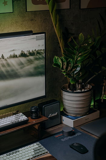 computer, Moderne enheder, skrivebord setup, overvåge, tastatur, potteplante, Hyggeligt hjemmekontor, Stilfuldt skrivebord, højttaler, mus, bærbar