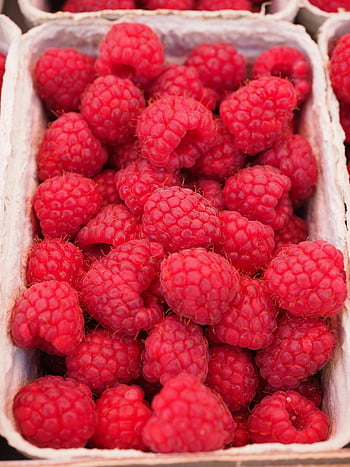 lamponi rossi, contenitore bianco, lamponi vibranti, lamponi freschi, snack sani, lampone rosso, cestino bianco, esposizione di frutta, cesto di lampone, frutta fresca, frutto sano