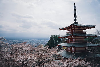 Japan wallpapers, Chureito Pagoda, cherry blossoms, spring scene, Japan, pagoda, cherry blossom, full bloom, beautiful view, classic scene, Japanese landscape