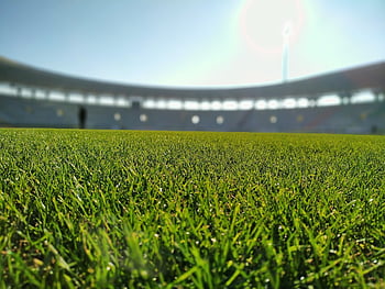 stadión, Fotbal, sportovní, míč, tráva, lidé, aréna