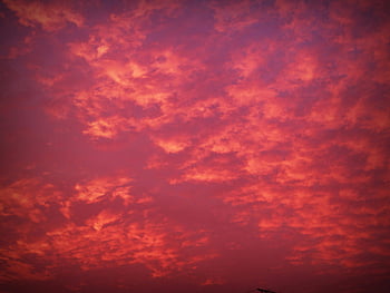 sunset, vibrant red clouds, captivating cloudscape, low-angle photo, sky, evening, natural beauty, dramatic sky, colorful clouds, twilight, atmospheric phenomenon