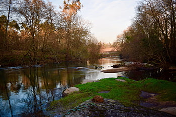 the River Man, in The Municipality Of Amares, braga, portugal, pine Forest, relax, silence, the Water Is Calm