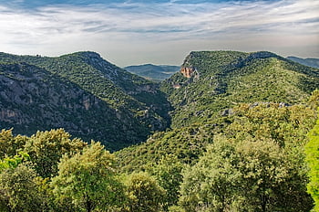 Espanha, Andaluzia, Província de Cádiz, Puerto de Las Palomas, Sierra de Grazalema, Parque Natural, panorama, natureza, montanhas, Colina, verde
