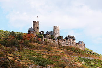 hrad, Německo, Moselle, Hohenburg, vinice, mezník, prázdnin, prohlížení památek, cestovní ruch, pěstování vína, Příroda