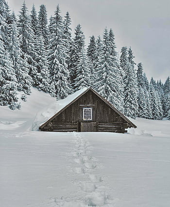 baita, snow, winter, trees, house, architecture, building, snowy, wintry, landscape, countryside