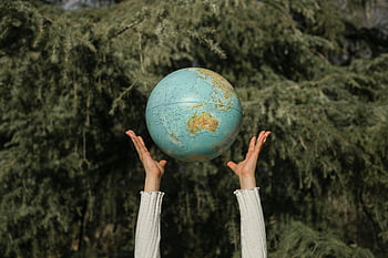 environmental awareness, hands raising globe, lush green tree, symbolizing environment, globe toss, nature backdrop, earth care, sustainable living, green planet, eco-friendly, conservation efforts