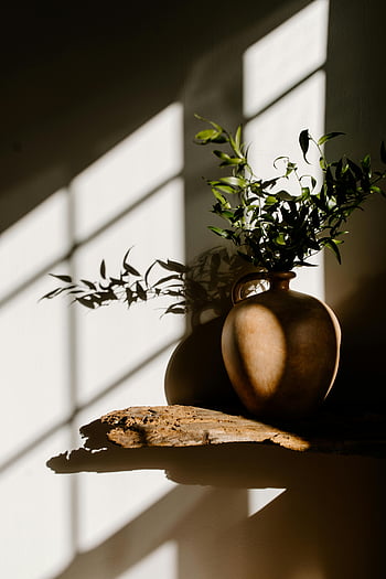 minimalist vase, greenery, wooden surface, sunlight, shadows, indoor plant, natural light, still life, rustic, serene, shadow play