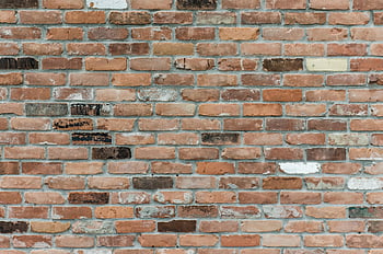 brown brick wall, close-up photography, rustic brick wall, high-resolution image, brick wall texture, perfect backgrounds, design projects, brick wall, rustic texture, high resolution, wall texture