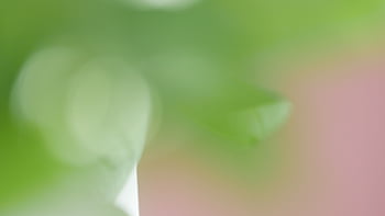 bokeh, abstraktní, Pozadí, světlo, kruhy, rozostření, účinek, řeřavý, vzor, rozmazat, barva