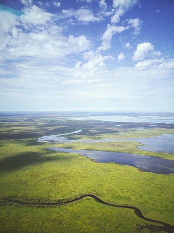 aerial, blue, boreal, boreal Forest, canada, clouds, flight, fly, forest, grass, green