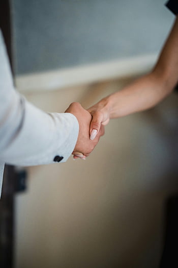 handshake, close-up, professionals, agreement, partnership, business, hands, greeting, collaboration, deal, meeting
