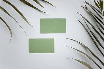 blank visitkort, gröna löv, minimalistisk design, kopiera utrymme, vit yta, gröna kort, naturliga element, platt låg, enkel sammansättning, växtlöv, miljövänlig design