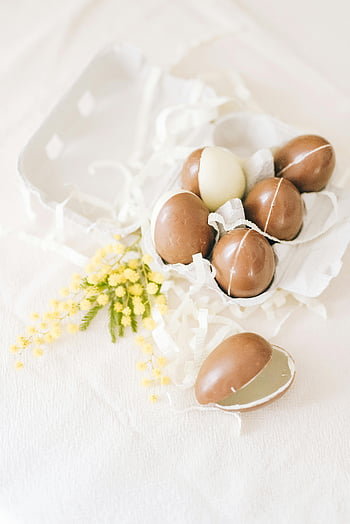 Easter chocolate eggs, white carton, yellow flowers, mimosa flowers, festive touch, decorative eggs, brown eggs, Easter decoration, chocolate eggs, festive Easter