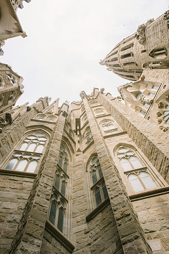 Sagrada Familia, low angle view, Gothic architecture, Barcelona, Spain, Antoni Gaudi, cathedral, spires, stained glass, stone facade, religious building