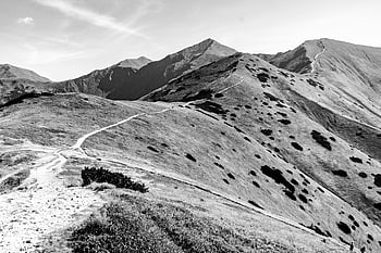 gråtonebilde, fjellene, Monokromatisk landskap, vysoké tatry, Svingete sti, klar himmel, svart og hvit, fjell landskap, utendørs fotografering, naturfotografering, høye tatraer