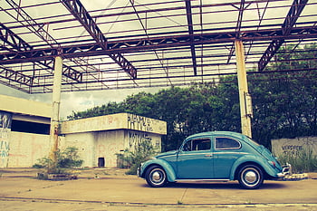 mavi volkswagen böceği, klasik araba, paslanmış yapı, duvar yazısı, yeşillik, terk edilmiş bina, eski model araba, dış mekan ayarı, kentsel bozulma, retro araç, Mavi araba