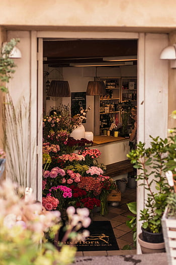 ร้านดอกไม้, เลือกโฟกัส, ทางเข้าที่มีเสน่ห์, กุหลาบที่มีชีวิตชีวา, การจัดดอกไม้, การออกแบบตกแต่งภายใน, การตกแต่งภายในร้าน, ร้านขายดอกไม้, แสดงดอกไม้, ตกแต่งทางเข้า
